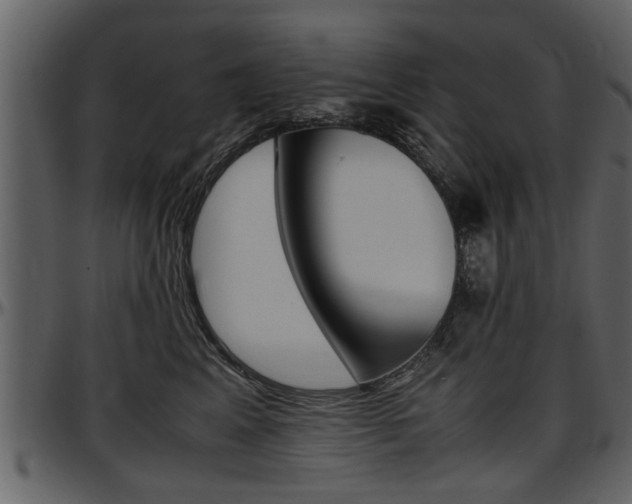 X0000097640617200802290824