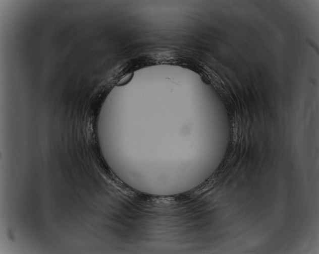 X0000097640618200802290824