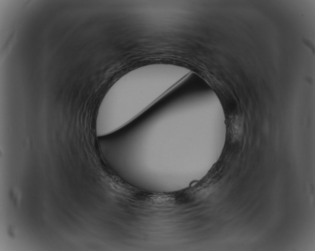 X0000097640619200802290824