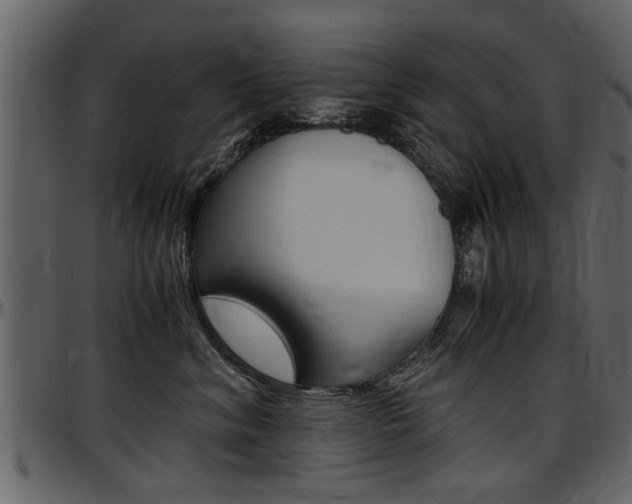 X0000097640620200802290824