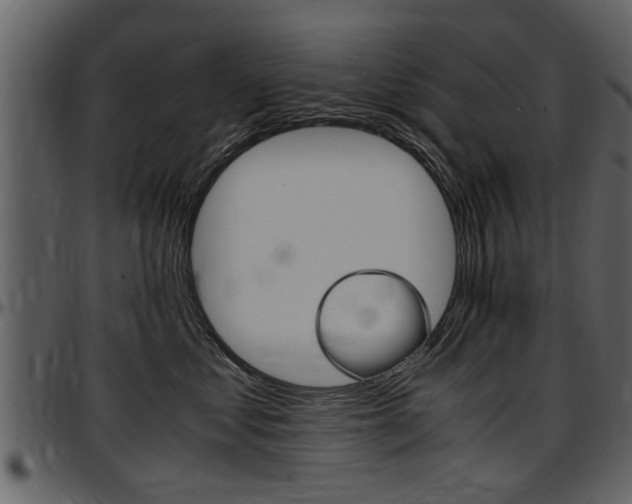 X0000097640621200802290824