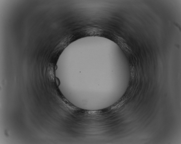 X0000097640622200802290824