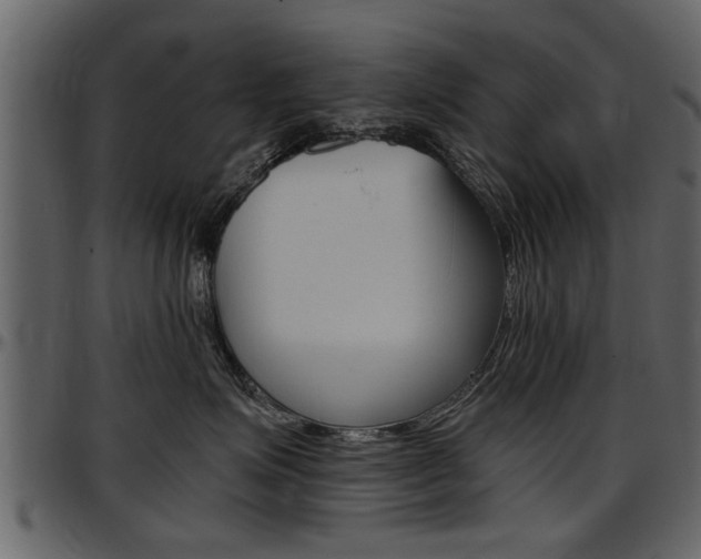 X0000097640623200802290823