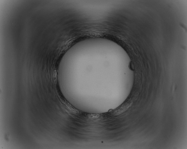 X0000097640624200802290823