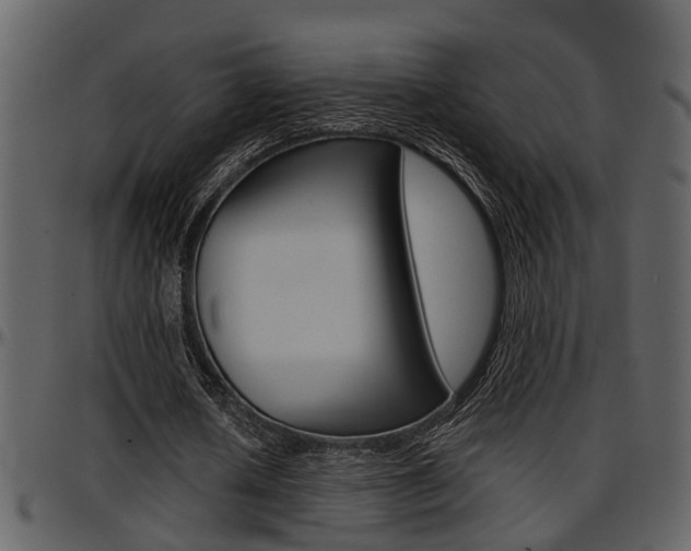 X0000097640626200802290823