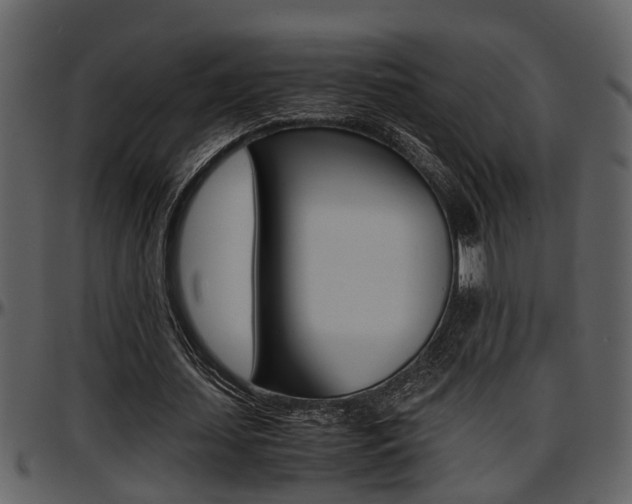 X0000097640627200802290823