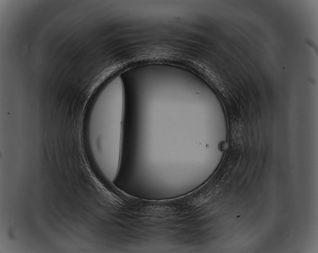 X0000097640629200802290823