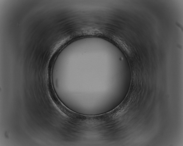 X0000097640630200802290823