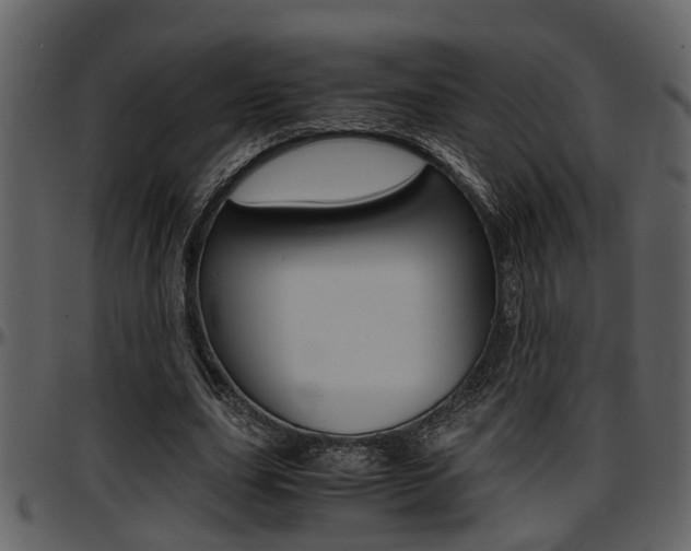 X0000097640631200802290823