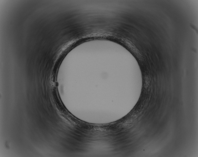 X0000097640632200802290823