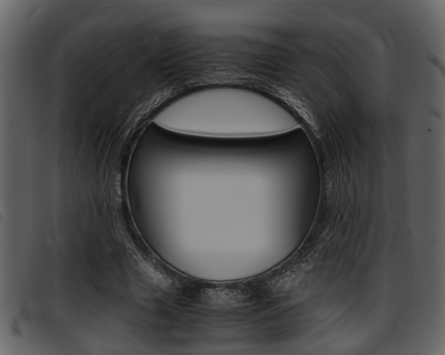 X0000097640633200802290823