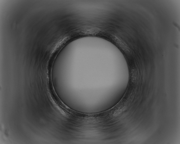 X0000097640634200802290823