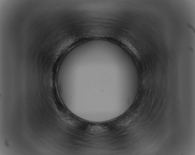 X0000097640635200802290823