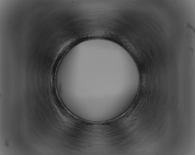 X0000097640636200802290823