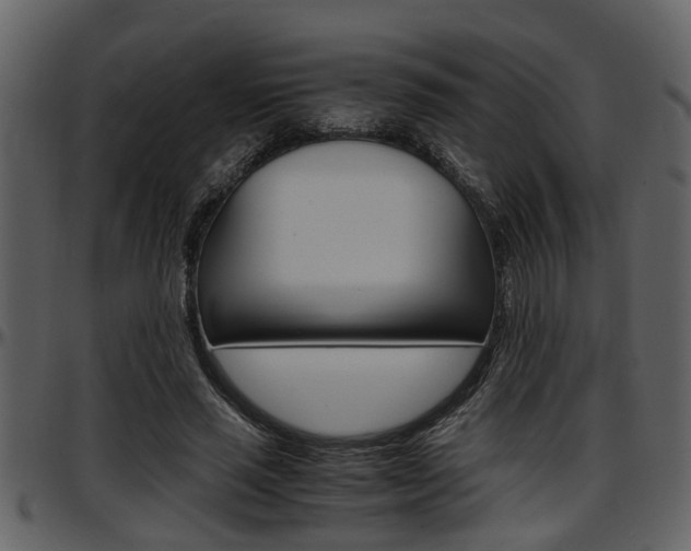 X0000097640637200802290823