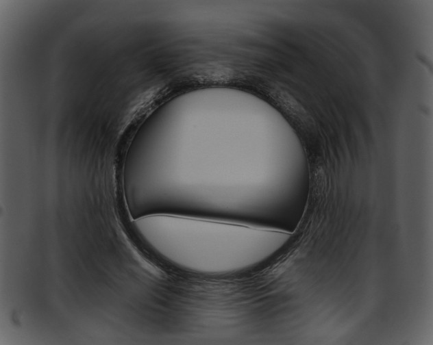 X0000097640638200802290823