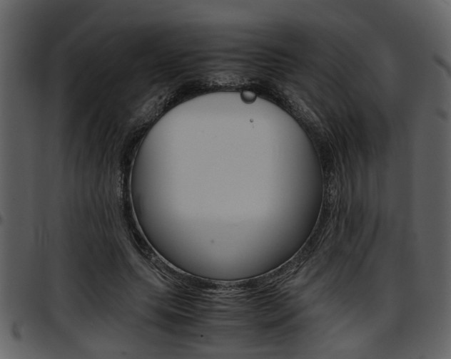 X0000097640639200802290823