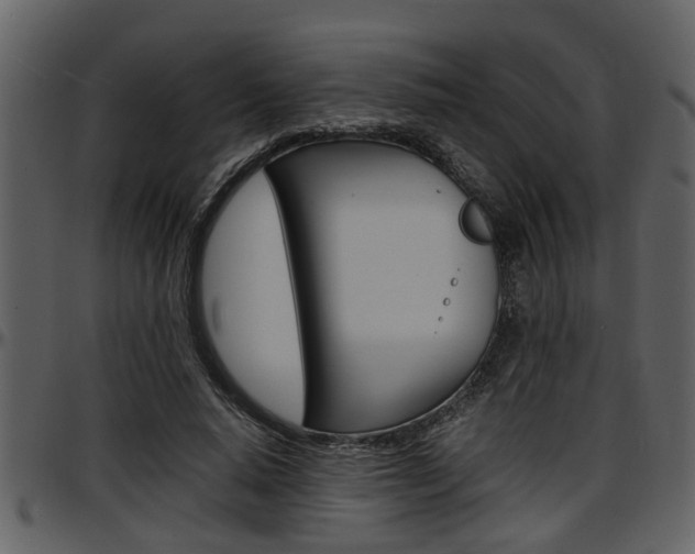 X0000097640640200802290823