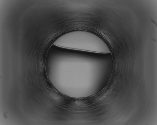 X0000097640641200802290823