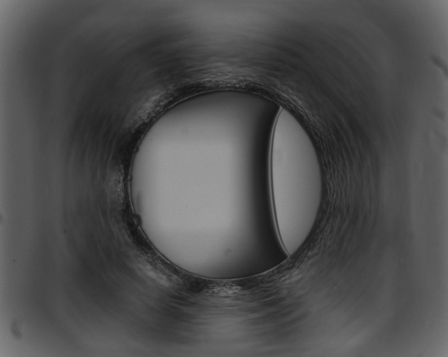 X0000097640642200802290823