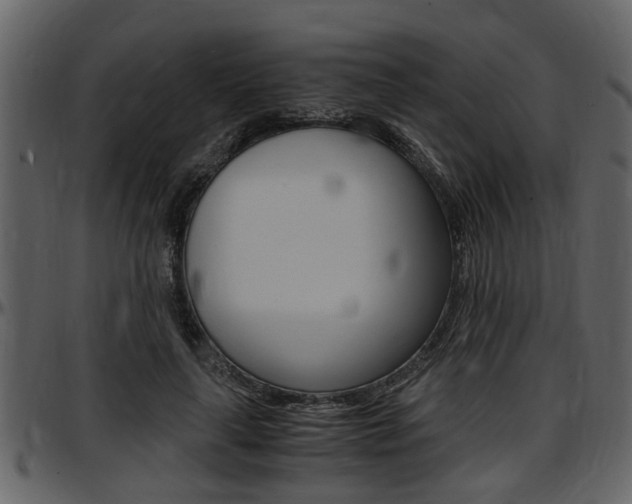X0000097640643200802290823