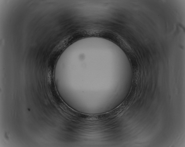 X0000097640644200802290823