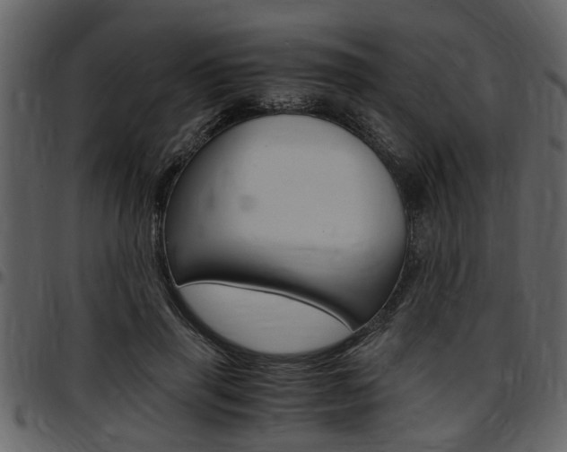 X0000097640645200802290823
