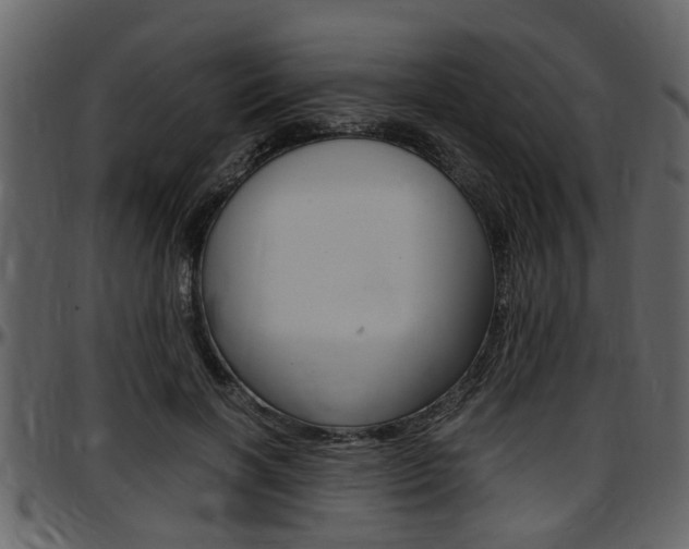 X0000097640646200802290823