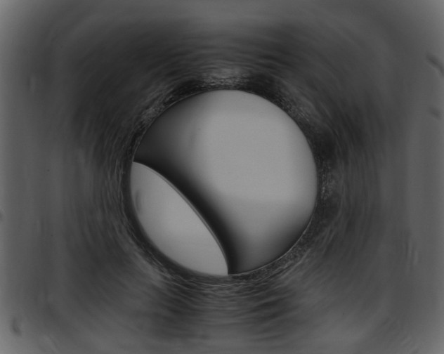X0000097640647200802290823