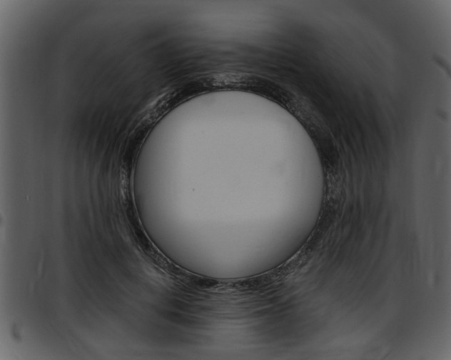 X0000097640648200802290823