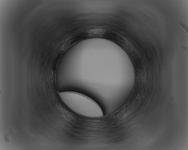 X0000097640649200802290823