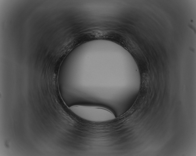 X0000097640650200802290823