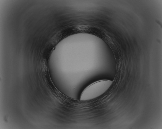 X0000097640651200802290823