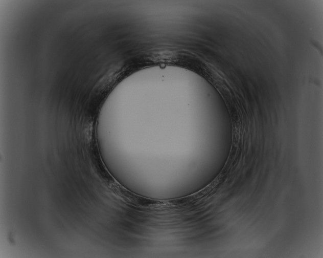 X0000097640652200802290823