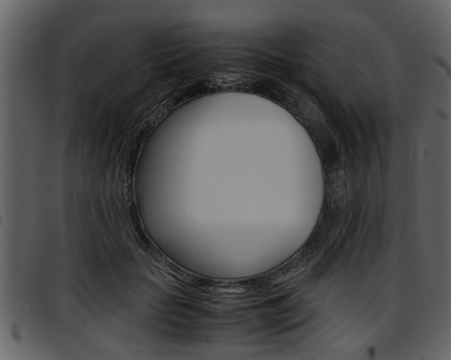 X0000097640653200802290823