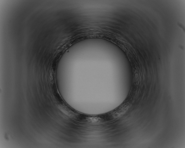 X0000097640654200802290823