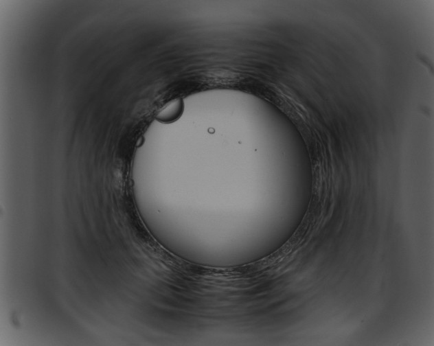 X0000097640655200802290823