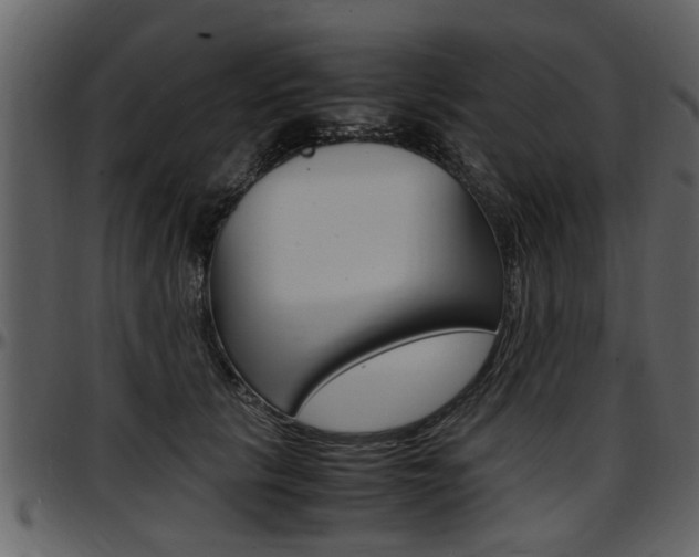X0000097640657200802290823