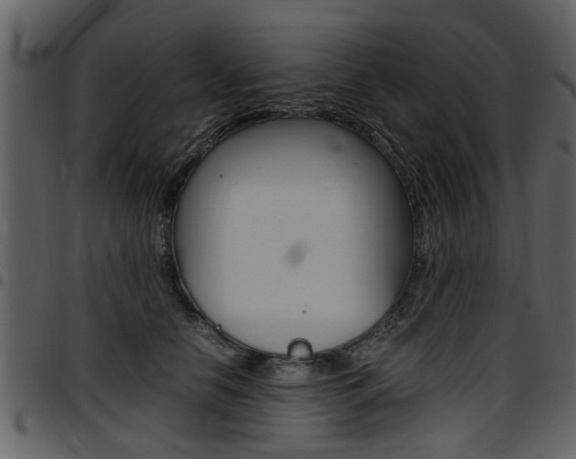 X0000097640658200802290823