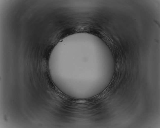 X0000097640659200802290823