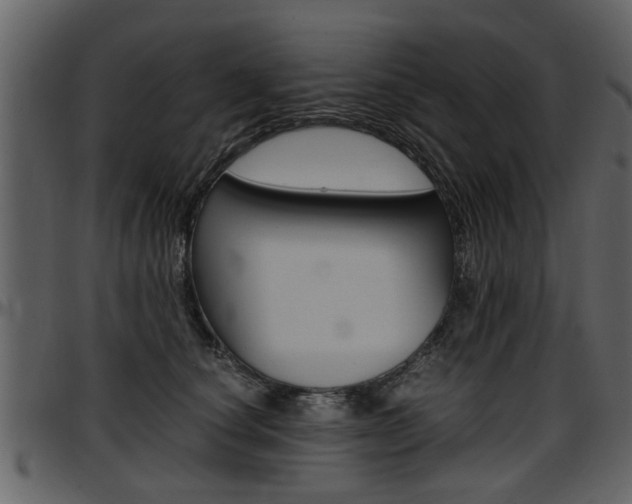 X0000097640660200802290823
