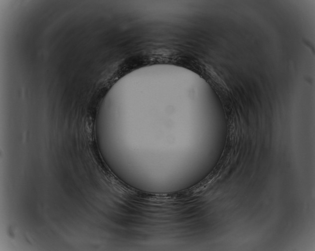 X0000097640661200802290823