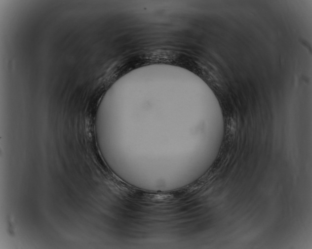 X0000097640663200802290823