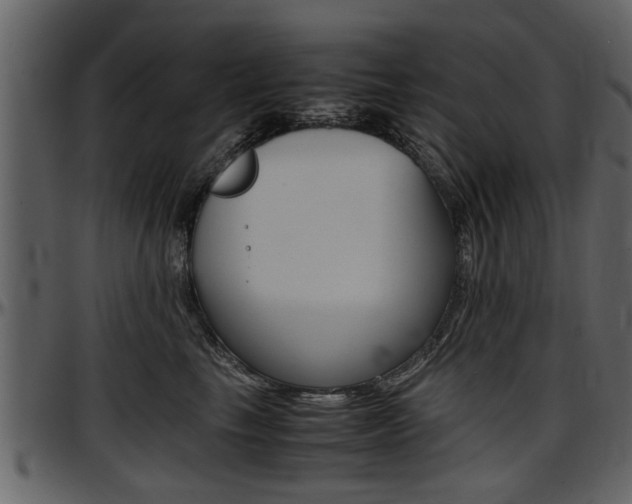 X0000097640665200802290823