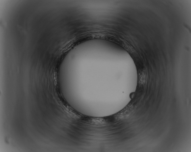 X0000097640666200802290823