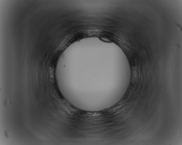 X0000097640667200802290823