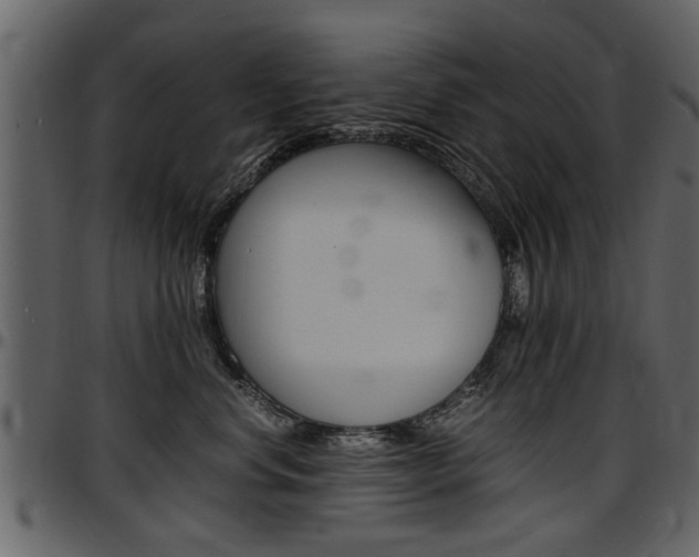 X0000097640668200802290823