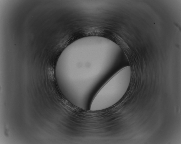X0000097640669200802290823