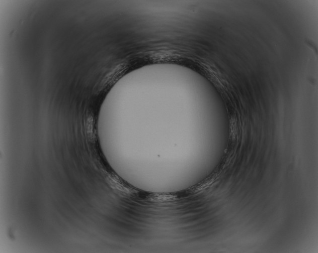 X0000097640670200802290823