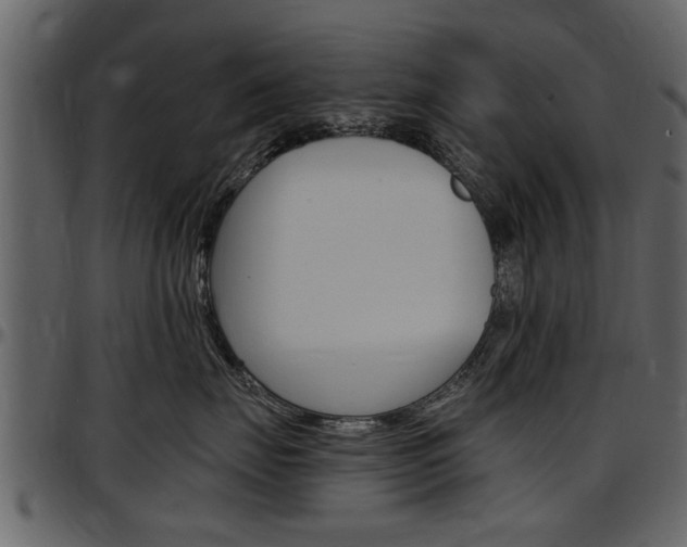 X0000097640671200802290823